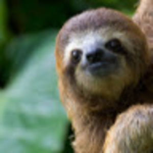 Meet your Posher, Ian